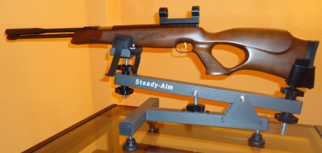   VENDIDO  

 Lo vendo porque no me voy a dedicar al “field target” con pistón y me paso a “Benchrest 11
