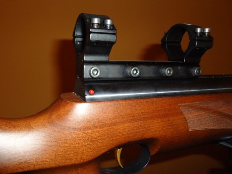   VENDIDO  

 Lo vendo porque no me voy a dedicar al “field target” con pistón y me paso a “Benchrest 30