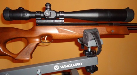   VENDIDO  

 Lo vendo porque no me voy a dedicar al “field target” con pistón y me paso a “Benchrest 40