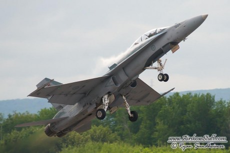 Pues eso, en este hilo pretendo deleitaros como amantes de los aviones de combate que sois muchos, con 151