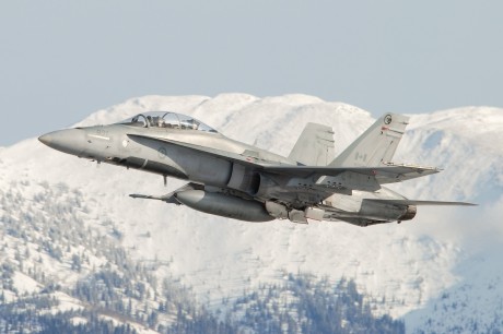 Pues eso, en este hilo pretendo deleitaros como amantes de los aviones de combate que sois muchos, con 20