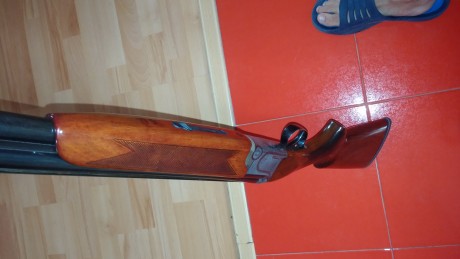 Hola, amigos. Estoy restaurando una escopeta siguiendo siempre los pasos y los consejos dados por los 50