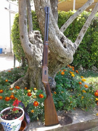    Buenas tardes

Otro a la venta, se trata de un Winchester modelo 94 calibre 30-30 en un acabado atípico 02