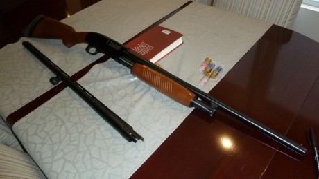 Vendo Maverick 88 Combo con dos cañones ambos de ánima lisa; uno largo con solista y cuatros chokes y 02