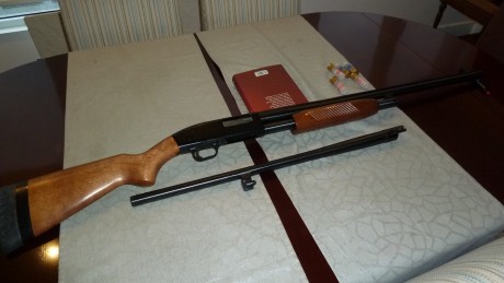 Vendo Maverick 88 Combo con dos cañones ambos de ánima lisa; uno largo con solista y cuatros chokes y 01