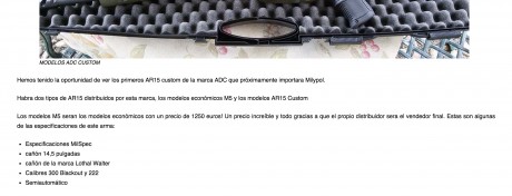 Buenos dias compañeros, 
Os pido vuestra sabia opinión sobre, más que un modelo en concreto de AR15, sobre 141