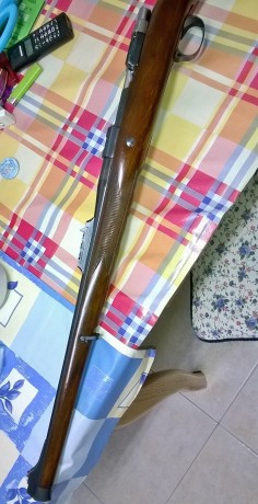 Hola compañeros , vendo este rifle, porque no le doy uso , y como tengo otros proyectos., haber si puedo 12