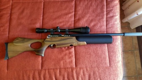 Hola vendo daystate air wolf calibre 4.5. El arma esta completamente nueva. 10 sobre 10. Sin marcas de 10