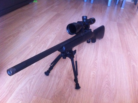Hola a todos, vendo este estupendo rifle con una precision alucinante. 
 El precio del rifle sin visor 12