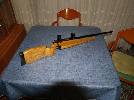 Vendo Carabina Calibre 22 Long Rifle, Marca Feinwerbau  modelo 2600, la compre por capricho, e tirado 02