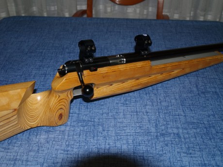 Vendo Carabina Calibre 22 Long Rifle, Marca Feinwerbau  modelo 2600, la compre por capricho, e tirado 01