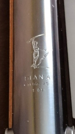 hola a todos,
tengo una extraordinaria diana 75 t01 con miras cerradas y queria saber si se le puede poner 00