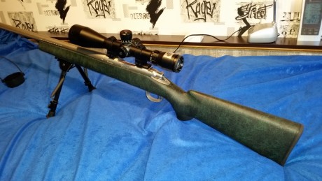 vuelvo a poner a la venta este equipo de fclass compuesto por:
remington 700mil spec 308w.
visor bushnell 11