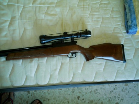 Pongo a la venta carabina Sharp Innova, calibre 5,5, de madera, metal impecable, visor Tasco (chino ) 00