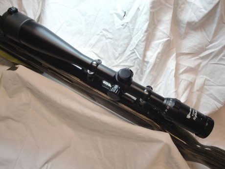  EN VENTA EL SIGUIENTE MATERIAL 

Visor Niko Stirling 10-50x60  Targetmaster  30mm.  MD…………….320€   ****VENDIDO**** 02