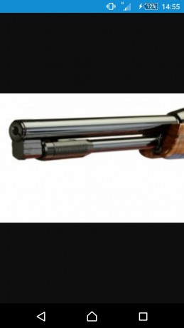 Hola compaňeros, pues me he echo con una air arms tx200 en 5,5 , y os pregunto que balines le pueden vebir 00
