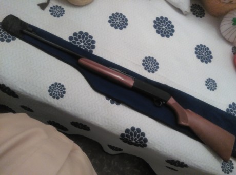 Semiautomática del 22lr, casi nueva, impecable. Cargador de 15 balas, se pueden poner bien por el lateral 01
