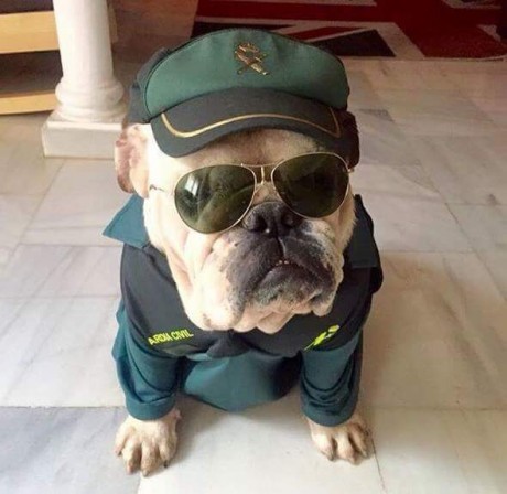 ¡Muy buenas a todos!

Estaba dando un paseo por el foro, cuando me he dado cuenta de que no había un hilo 10