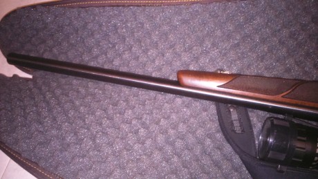 Calibre 308 Varmint Police. Cañón flotante, gatillo al pelo, visor hawke 4-16x 50muy nítido, mildot. El 01