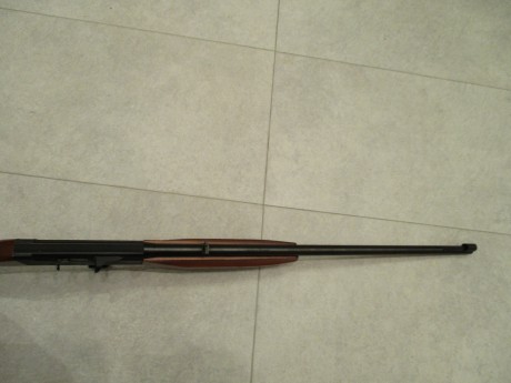 Carabina ANSCHUTZ cal. 22 LR Es una de las mejores carabinas de este calibre. Esta como nueva, tanto de 11