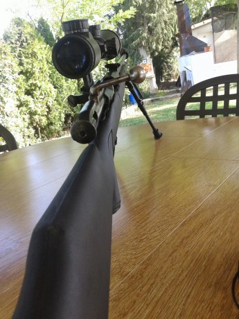 VENDO RIFLE PARA CAZA, MOZIN FINLANDES    CALIBRE 7,62
CULATA SINTETICA  ATY
CERROJO CURVO DE FRANCO,
MONTURAS 21