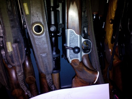 Hola a todos. Os cuento un poco. Tengo un browin fn batue (creo) 30-06 con un visor zeiss 2.5-10x52 diavari 91