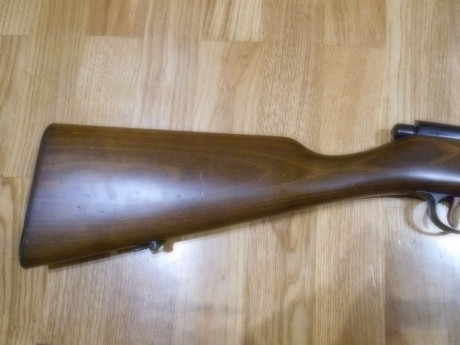 RARA y muy precisa carabina de 9 mm LARGO.
No es la destroyer tan habitual, es un modelo aun mas raro; 32