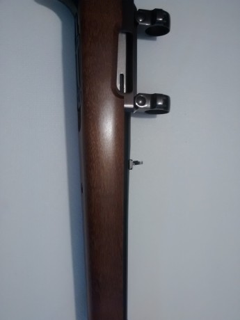 Hola. 
Estoy buscando una carabina Ruger Deerfield calibre .44 Magnum.
Si alguien está interesado en venderla 42