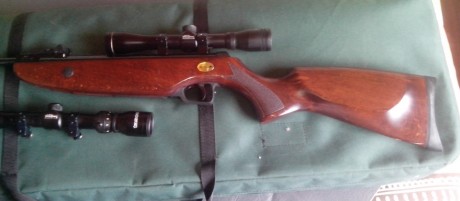 Hola, se vende Norica Krono del 5,5 con poco uso. Se entrega con visor de 4 aumentos y otro 3x9 ,ambos 01