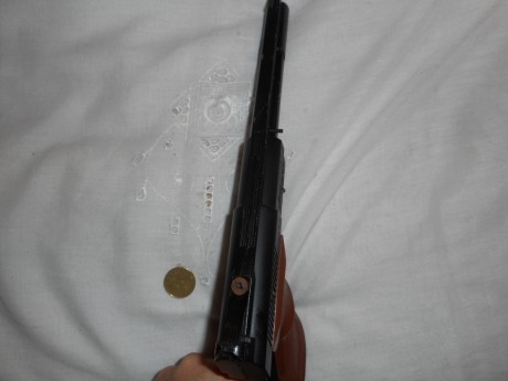 PISTOLA DE GAS CO2 MARCA CROSSMAN, MODELO 1600.
ES UNA PISTOLA MUY BIEN CUIDADA, FUNCIONA CON BOTELLINES 12