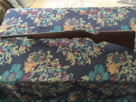 pues nada vendo mi carabina por falta de uso ya que creo que ha tirado tres cajas
como si fuese nueva 01
