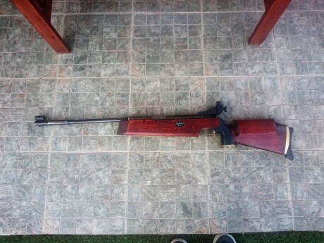 Hola, vendo FEINWERKBAU 300S con diopter y visor Gamo 3-9X32. La compre hace 6 meses a un compañero de 12