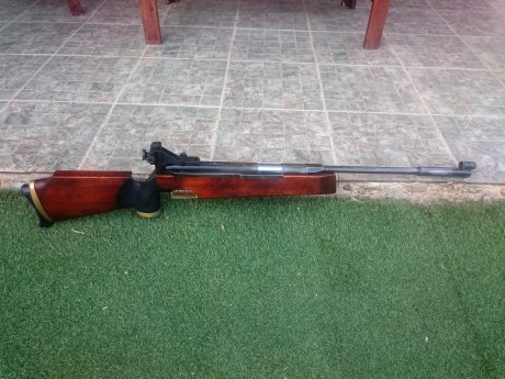 Hola, vendo FEINWERKBAU 300S con diopter y visor Gamo 3-9X32. La compre hace 6 meses a un compañero de 10
