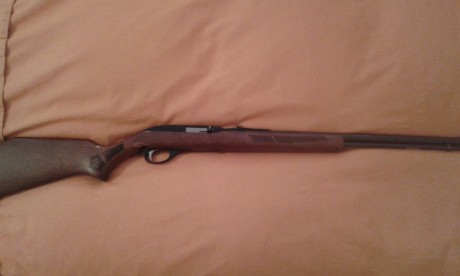 Vendo Carabina Marlin mod.60 VENDIDA 02