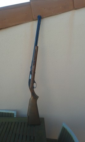 Vendo Carabina Marlin mod.60 VENDIDA 01