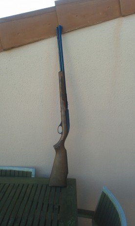 Vendo Carabina Marlin mod.60 VENDIDA 00