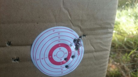 Buenos días a todos , los amigos de Armas.Es

Como el titulo lo dice una nueva bullpup entra al mercado 20