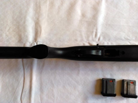 --Nueva--Sin Estrenar--
Carabina Semiautomatica Remington 597 - Calibre 22 Magnun,
Se entrega con 2 cargadores 10