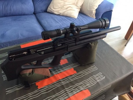 Pues eso vendo mi FX WILCAT calibre 5.5 solo estrenada.
La vendo por iniciar otro proyecto.
Muy precisa.
Visor 01