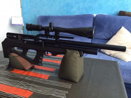 Pues eso vendo mi FX WILCAT calibre 5.5 solo estrenada.
La vendo por iniciar otro proyecto.
Muy precisa.
Visor 00