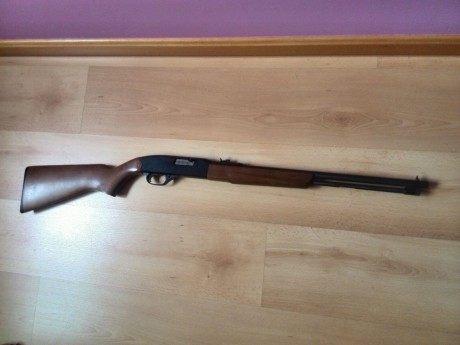 Vendo o cambio carabina winchester del cal 22  en buen estado que ya no uso para nada 
cambiaria o vendería 10