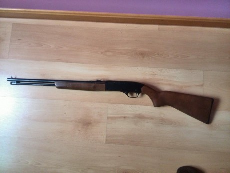 Vendo o cambio carabina winchester del cal 22  en buen estado que ya no uso para nada 
cambiaria o vendería 01