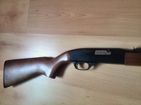 Vendo o cambio carabina winchester del cal 22  en buen estado que ya no uso para nada 
cambiaria o vendería 01