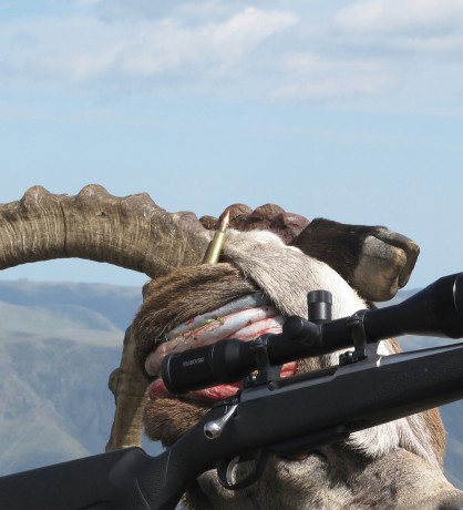 Bueno, pues os cuento.
Aprovechando que tuve que poner el  rifle a tiro tras la caída del otro día, le 60