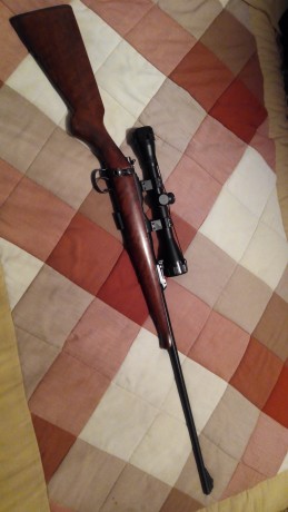 Con bastante pena, y on el objetivo de hacer algo de caja para otros proyectos, vendo mi carabina Brno 01