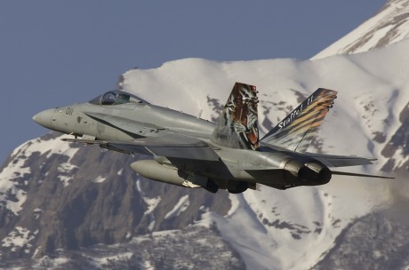Pues eso, en este hilo pretendo deleitaros como amantes de los aviones de combate que sois muchos, con 150