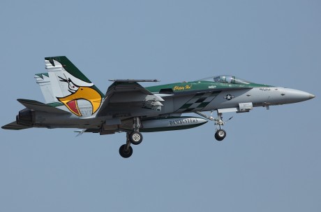 Pues eso, en este hilo pretendo deleitaros como amantes de los aviones de combate que sois muchos, con 172