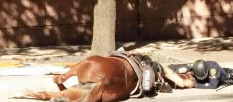 ¡Muy buenas a todos!

Estaba dando un paseo por el foro, cuando me he dado cuenta de que no había un hilo 120