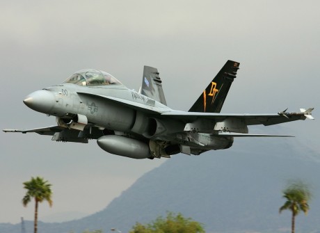 Pues eso, en este hilo pretendo deleitaros como amantes de los aviones de combate que sois muchos, con 20