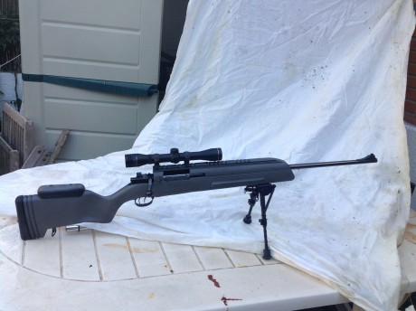 Hola buenas.pongo a la venta mi m1 carabina del calibre 30. el arma esta impecable y muy poco usada. Tiene 60